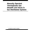 ASME B16.40 PDF