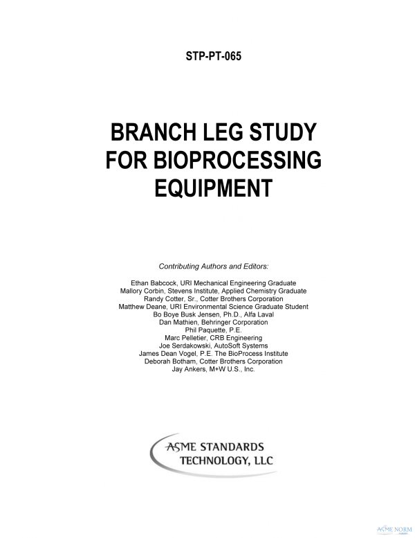 ASME STP-PT-065 PDF