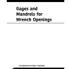 ASME B107.17 PDF
