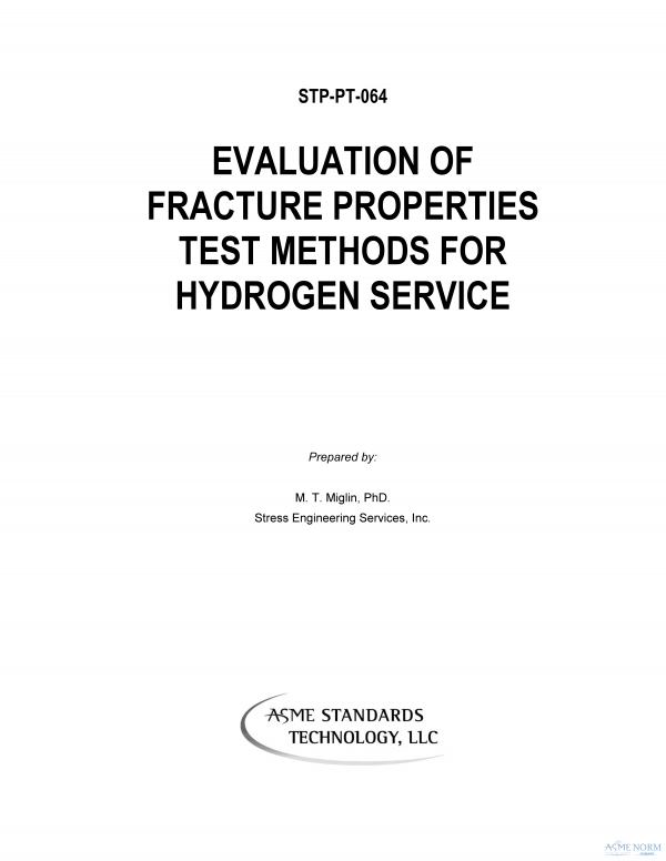 ASME STP-PT-064 PDF
