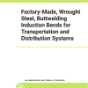 ASME B16.49 PDF